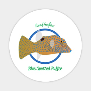 Blue Spotted Puffer Magnet